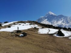 Nepalreise 2020 Yakland auf fast 4000 m